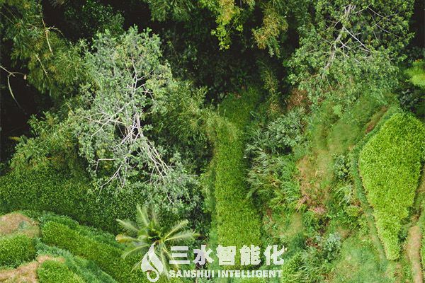 北京冬奧十大綠色低碳最佳實踐和技術報告發(fā)布